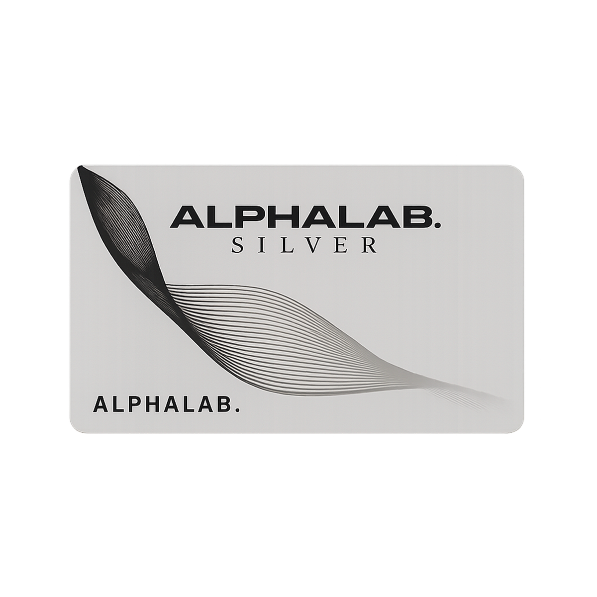 Yearly Silver Membership